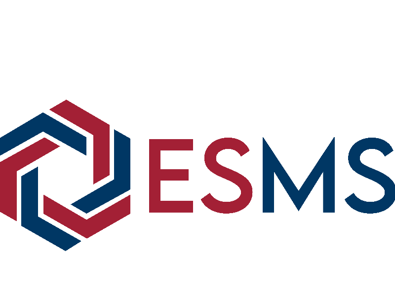 ESMS Denizcilik Enerji Taahhüt Mühendislik Sanayi ve Ticaret Anonim Şirketi