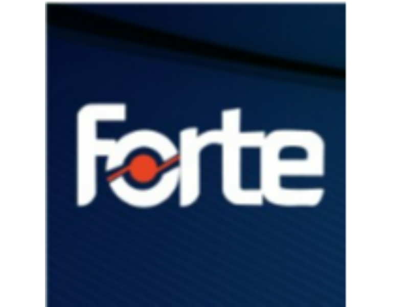 Forte Bilgi iletişim Teknolojileri ve Savunma Sanayi A.Ş.